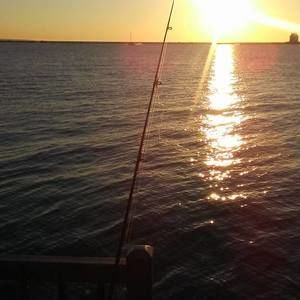 Meet your Posher, Richard